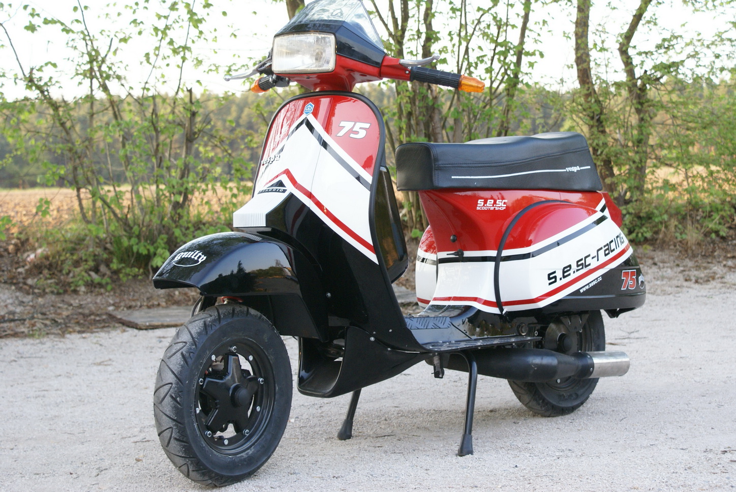 Airbrush und Lackierungen - Bild #8 Airbrush und Lackierungen - Bild #8